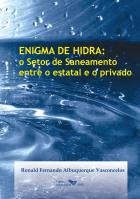 Enigma de hidra : o setor de saneamento entre o estatal e o privado